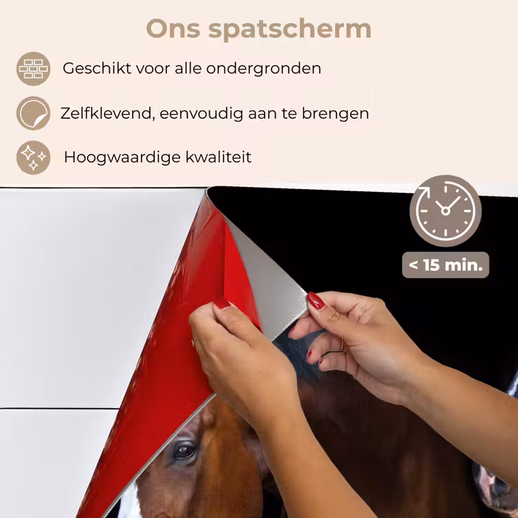 Spatscherm keuken - Paard - Dieren - Zwart — 3