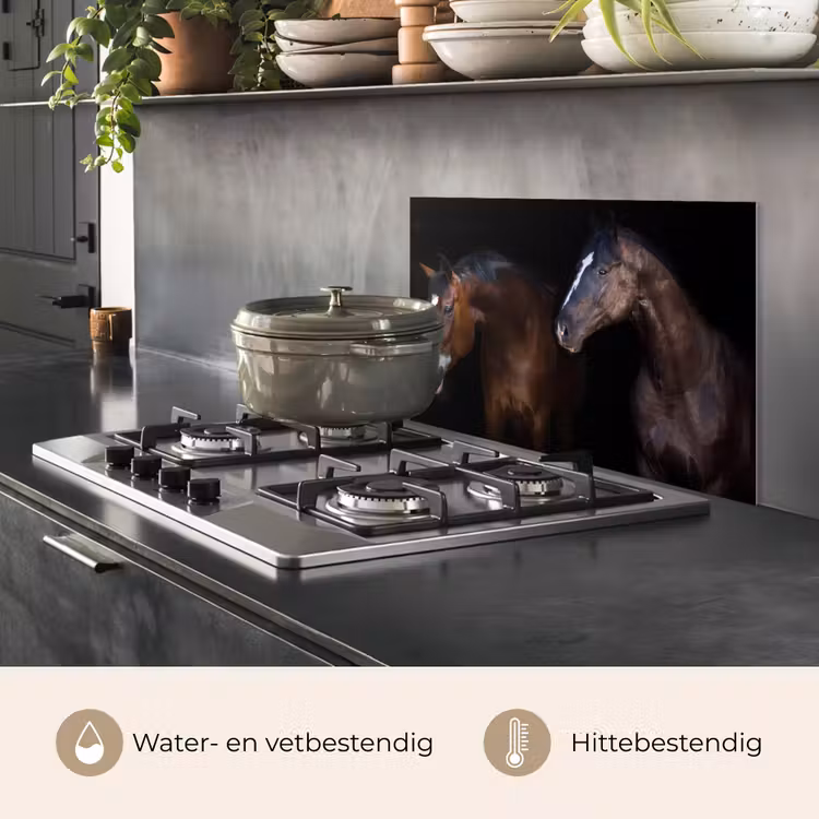 Spatscherm keuken - Paard - Dieren - Zwart — 6