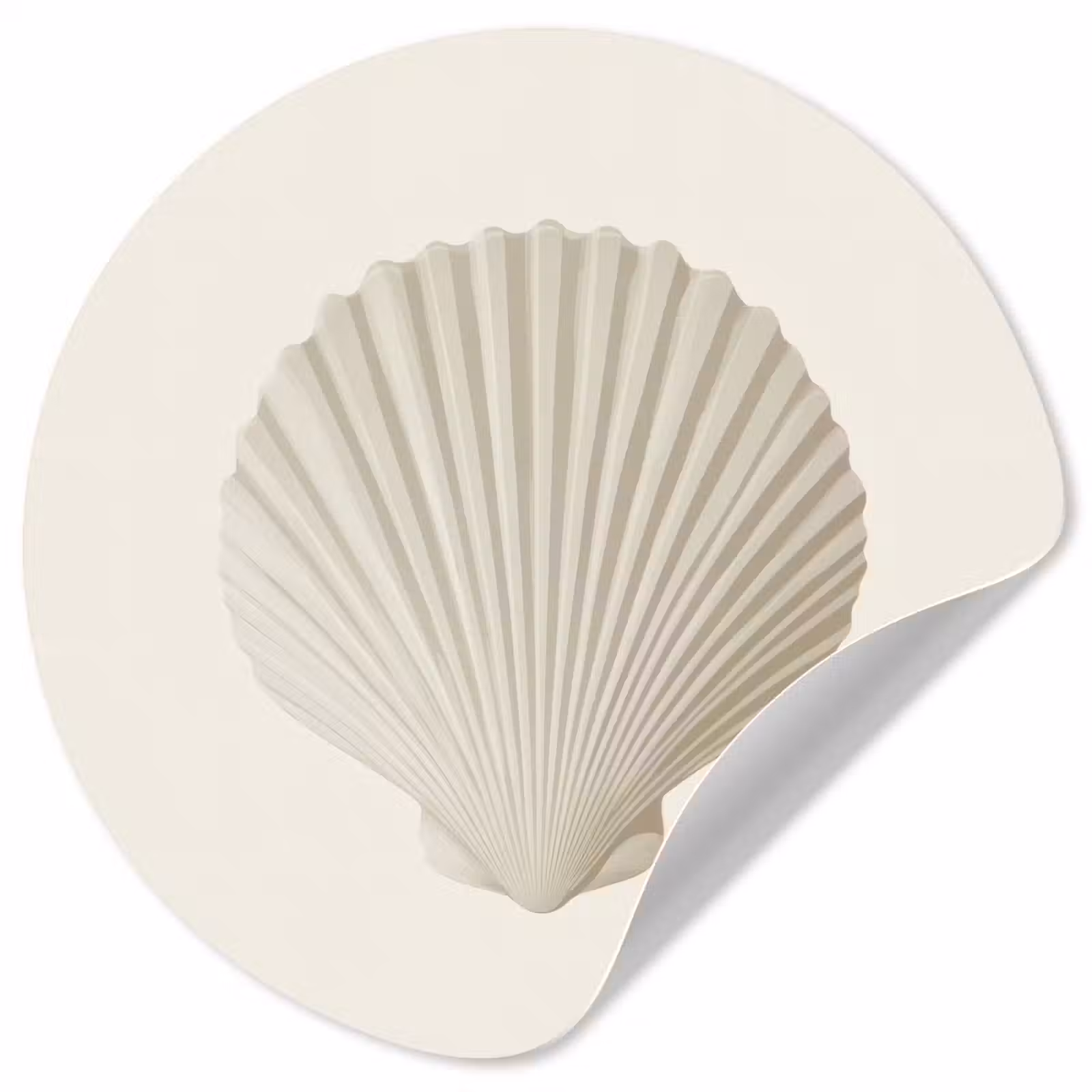 Behangcirkel - Schelp - Minimalistisch - Wit — 1