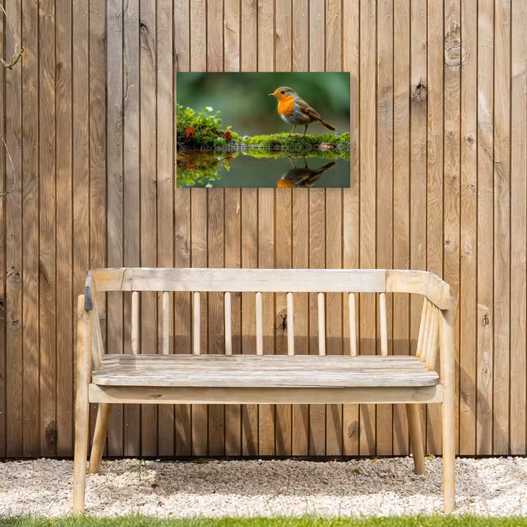 Buiten canvas - Roodborstje bij het Water — 3