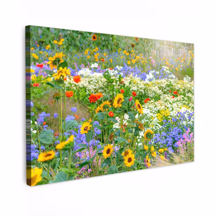 Buiten canvas - Zomerbloemen in volle bloei — 1