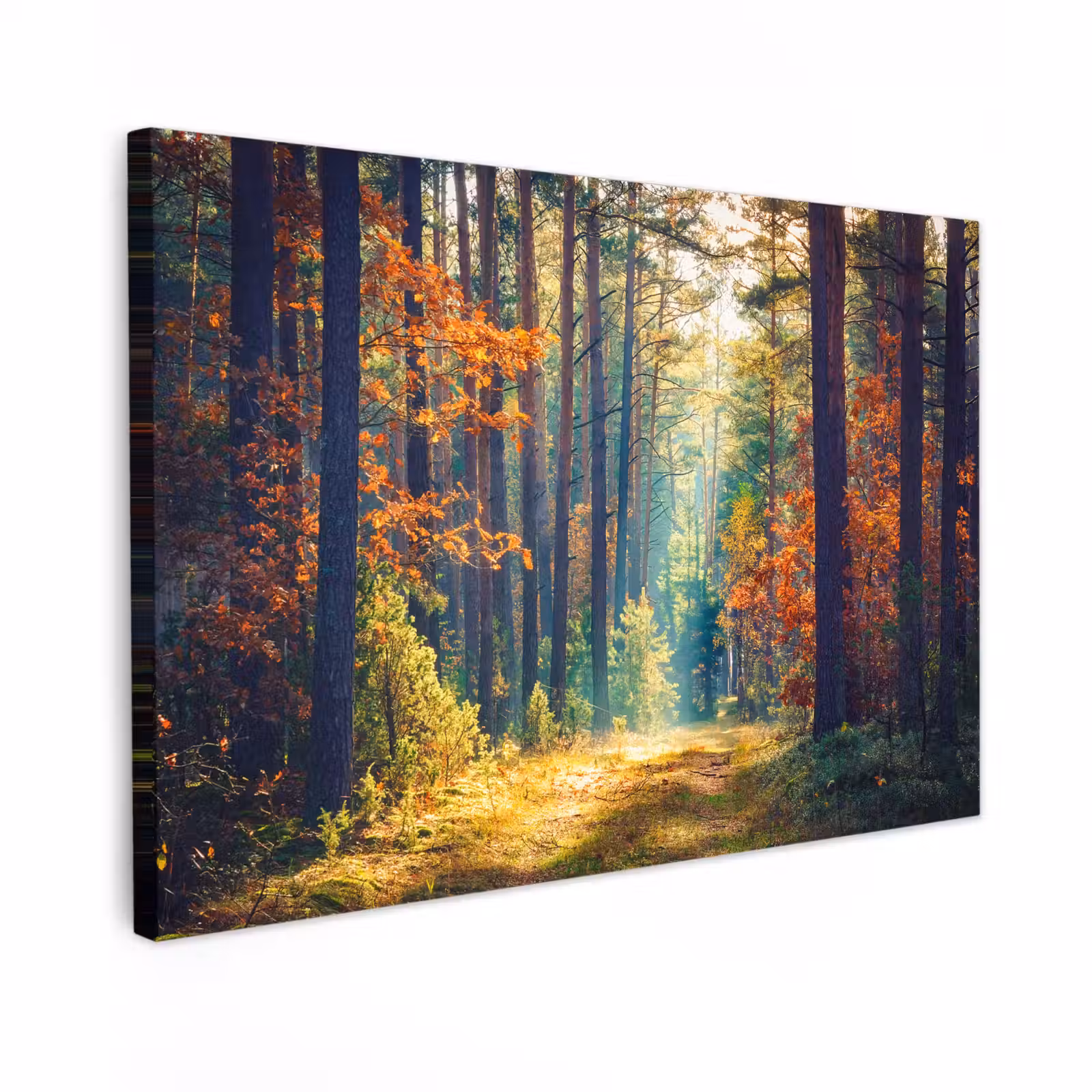 Canvas schilderij - Bos - Zon - Natuur - Herfst — 1