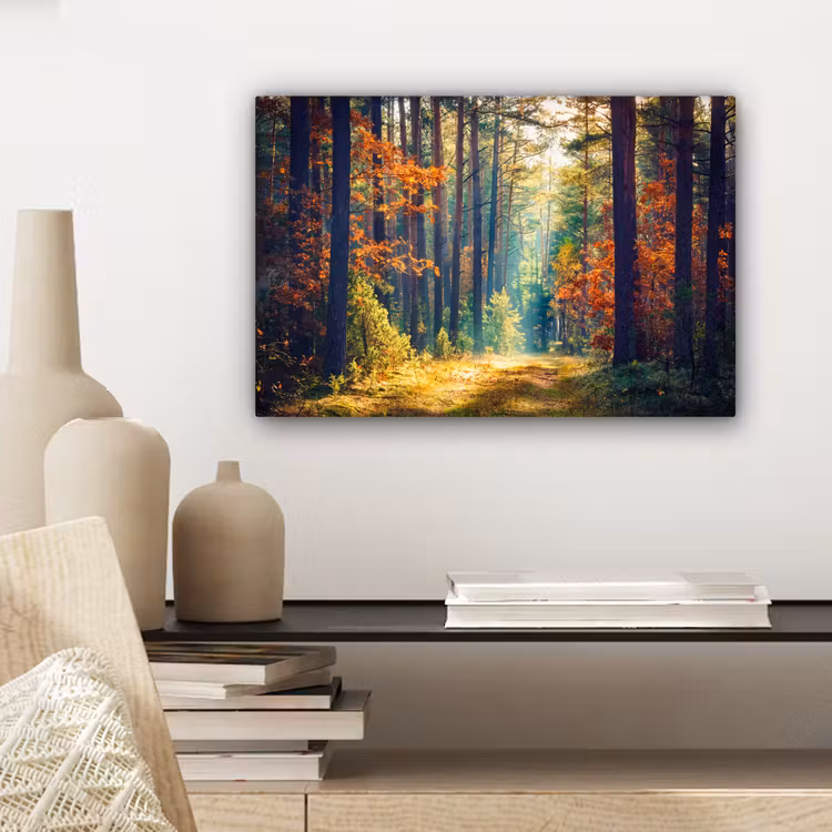 Canvas schilderij - Bos - Zon - Natuur - Herfst — 5