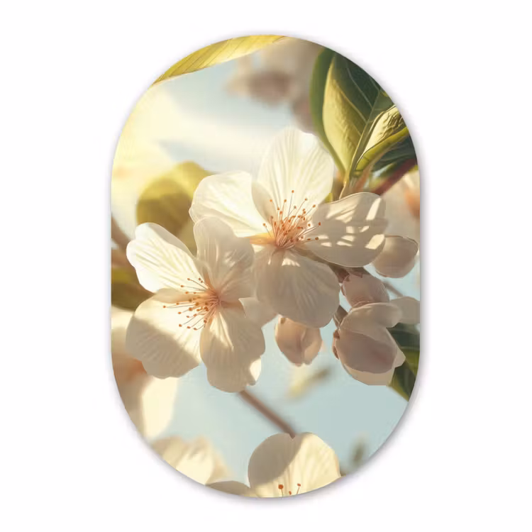 Muurovaal - Glas - Bloesems - Wit - Zonnestralen -  Bloemblaadjes — 1