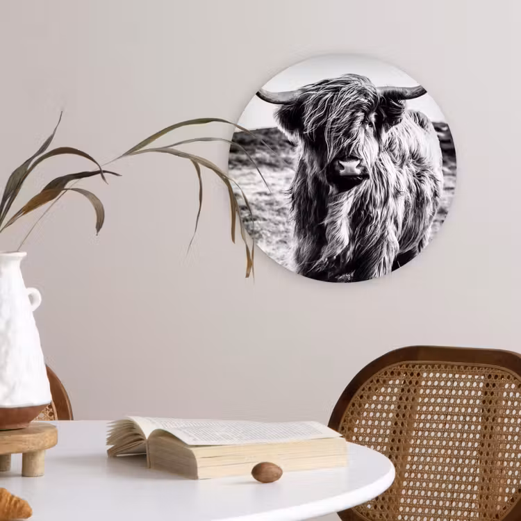 Muurcirkel - Schotse hooglander - Natuur - Koe - Zwart - Wit — 4