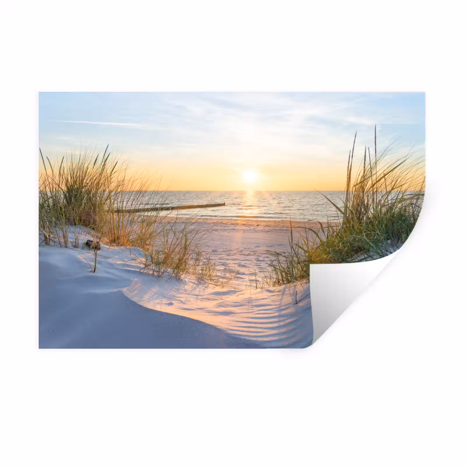 Muursticker - Strand - Zon - Duin - Gras - Zand - Horizon — 1