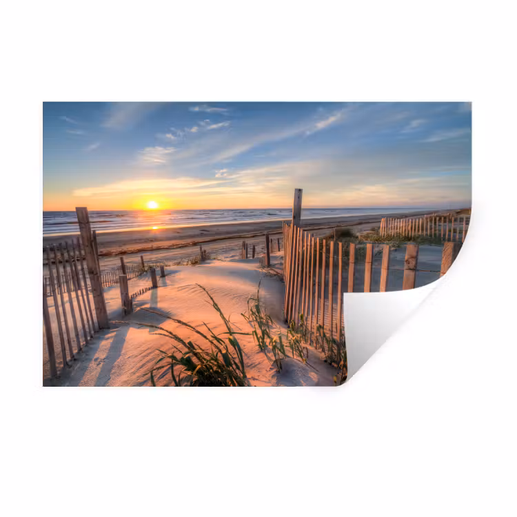Muursticker - Strand - Zee - Duin - Zonsondergang - Landschap — 1