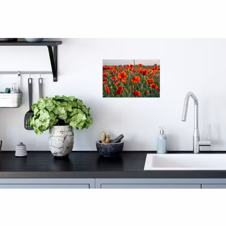 Muursticker - Bloemen - Klaprozen - Natuur - Rood — 2