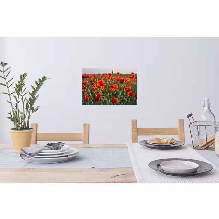 Muursticker - Bloemen - Klaprozen - Natuur - Rood — 3
