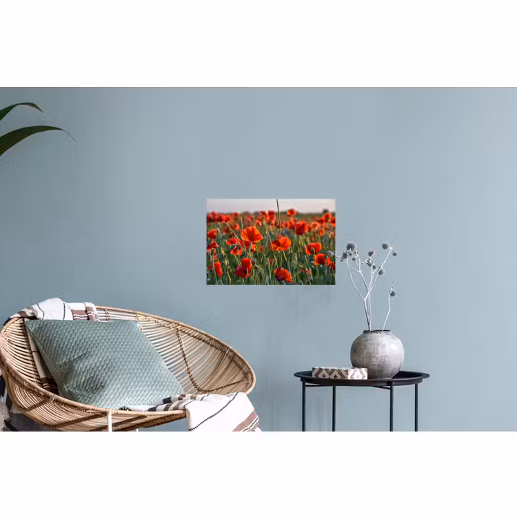 Muursticker - Bloemen - Klaprozen - Natuur - Rood — 4