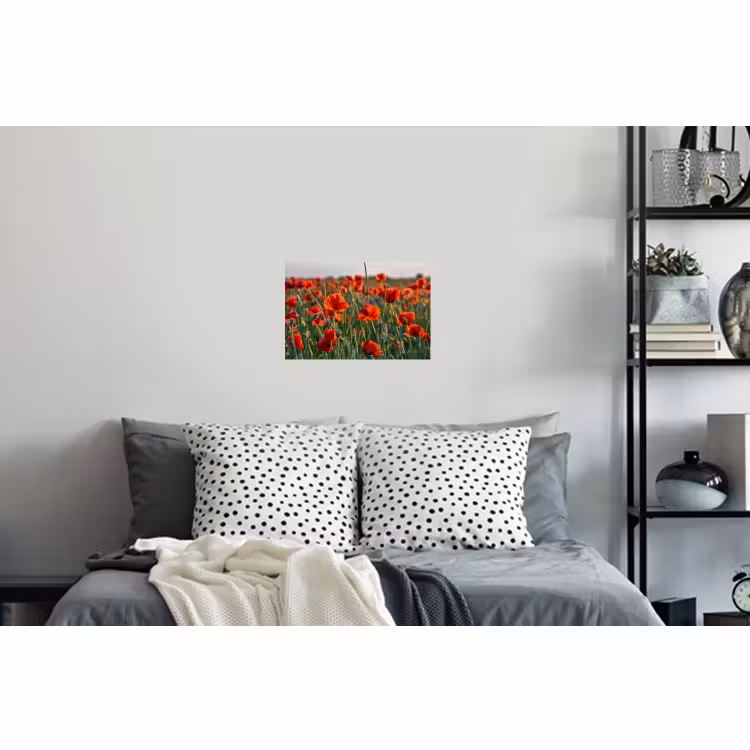 Muursticker - Bloemen - Klaprozen - Natuur - Rood — 5