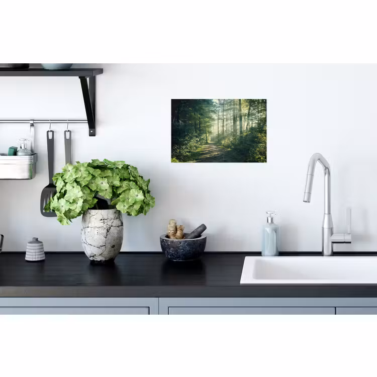 Muursticker - Bos - Pad - Zon - Bomen - Groen - Natuur — 2