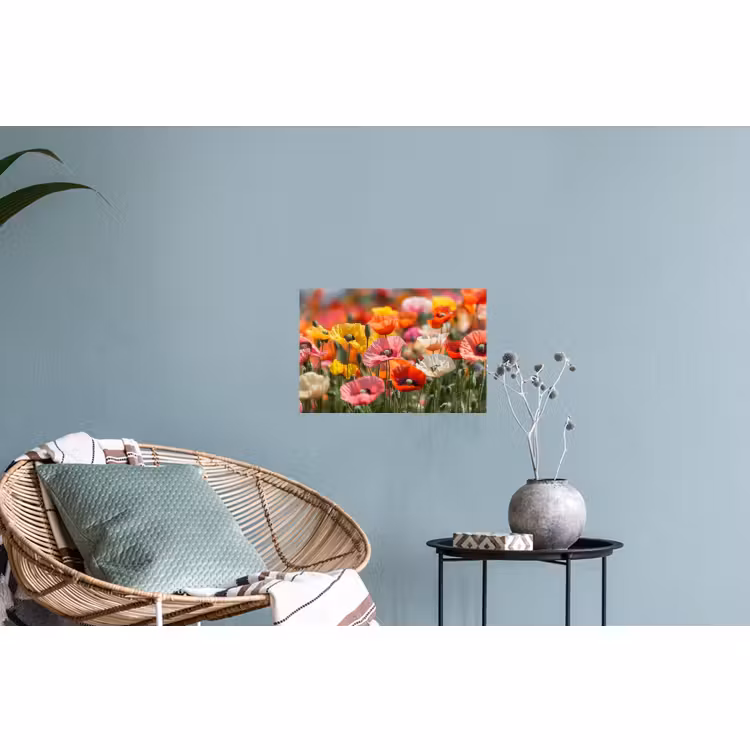 Muursticker - Bloemenveld - Klaprozen - Kleurrijk — 4