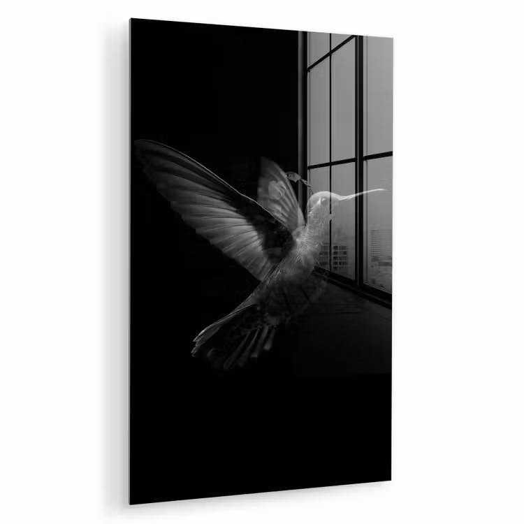 Glas schilderij - Kolibrie - Zwart - Dieren — 1