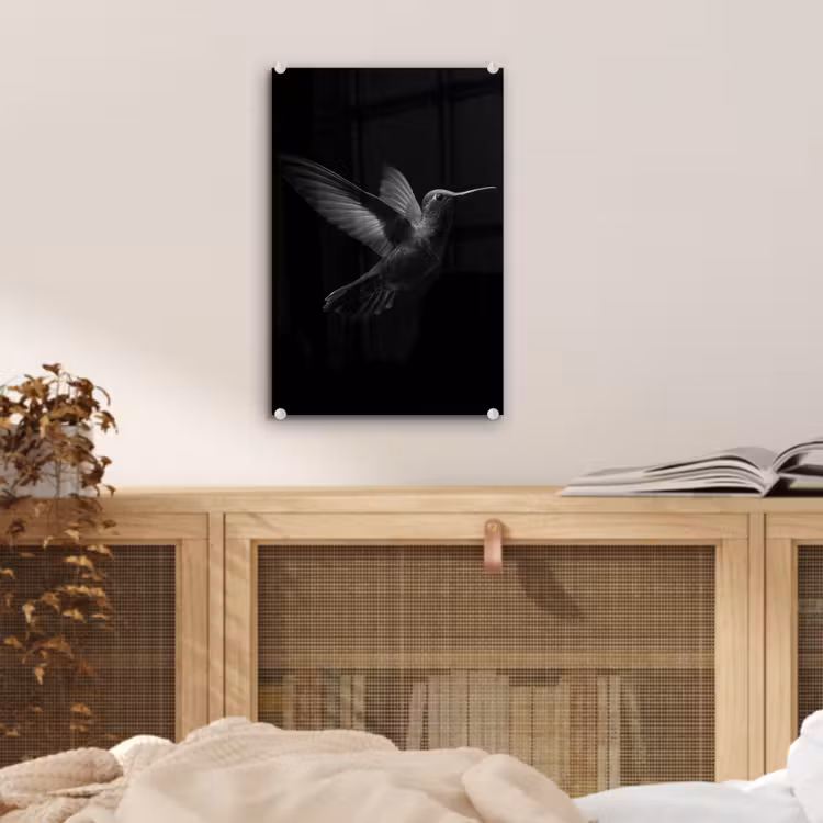 Glas schilderij - Kolibrie - Zwart - Dieren — 5