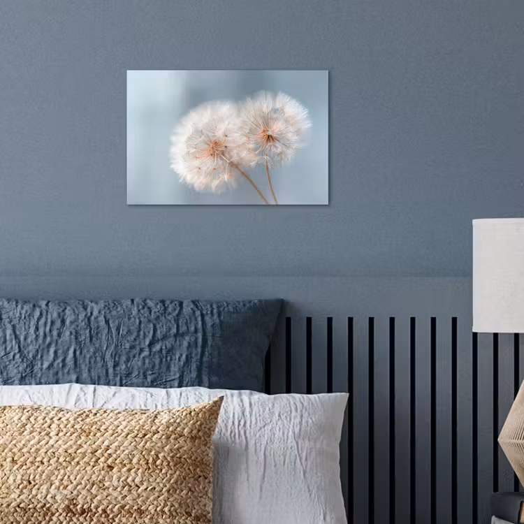 Poster - Paardenbloemen - Pluisjes - Wit — 3