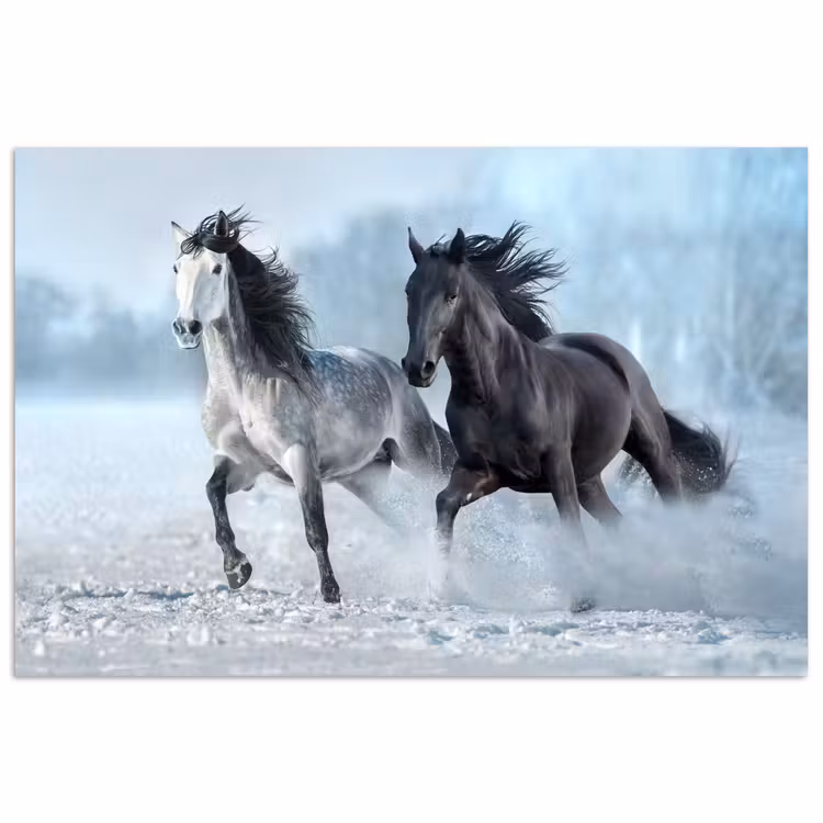 Poster - Paarden - Winter - Dieren - Natuur - Sneeuw — 1