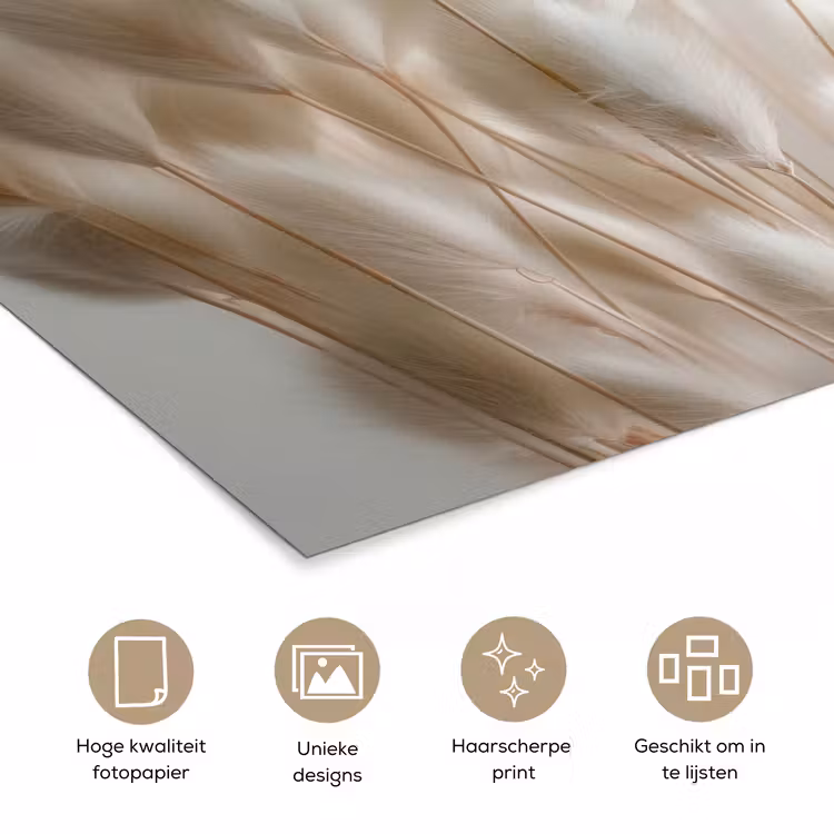 Poster - Pluimen - Beige - Minimalistisch — 5