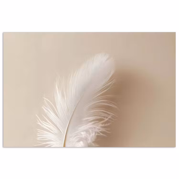 Poster - Veer - Minimalistisch - Roze — 1
