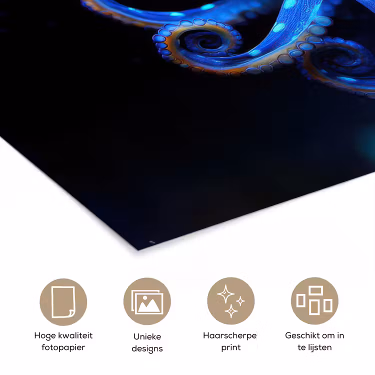 Poster - Octopus - Stippen - Blauw - Zee — 5