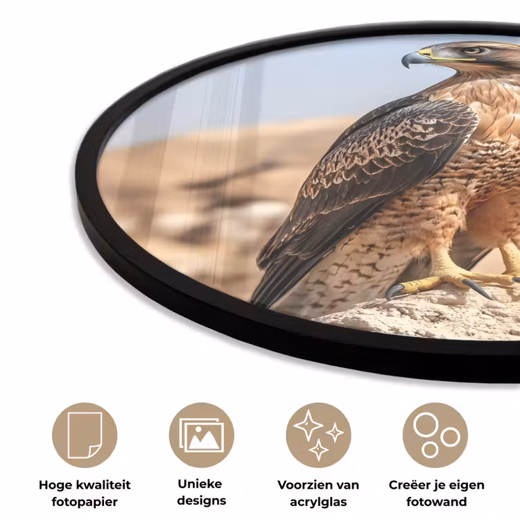 Ronde fotolijst - Valk - Vogel - Rots - Macht — 5