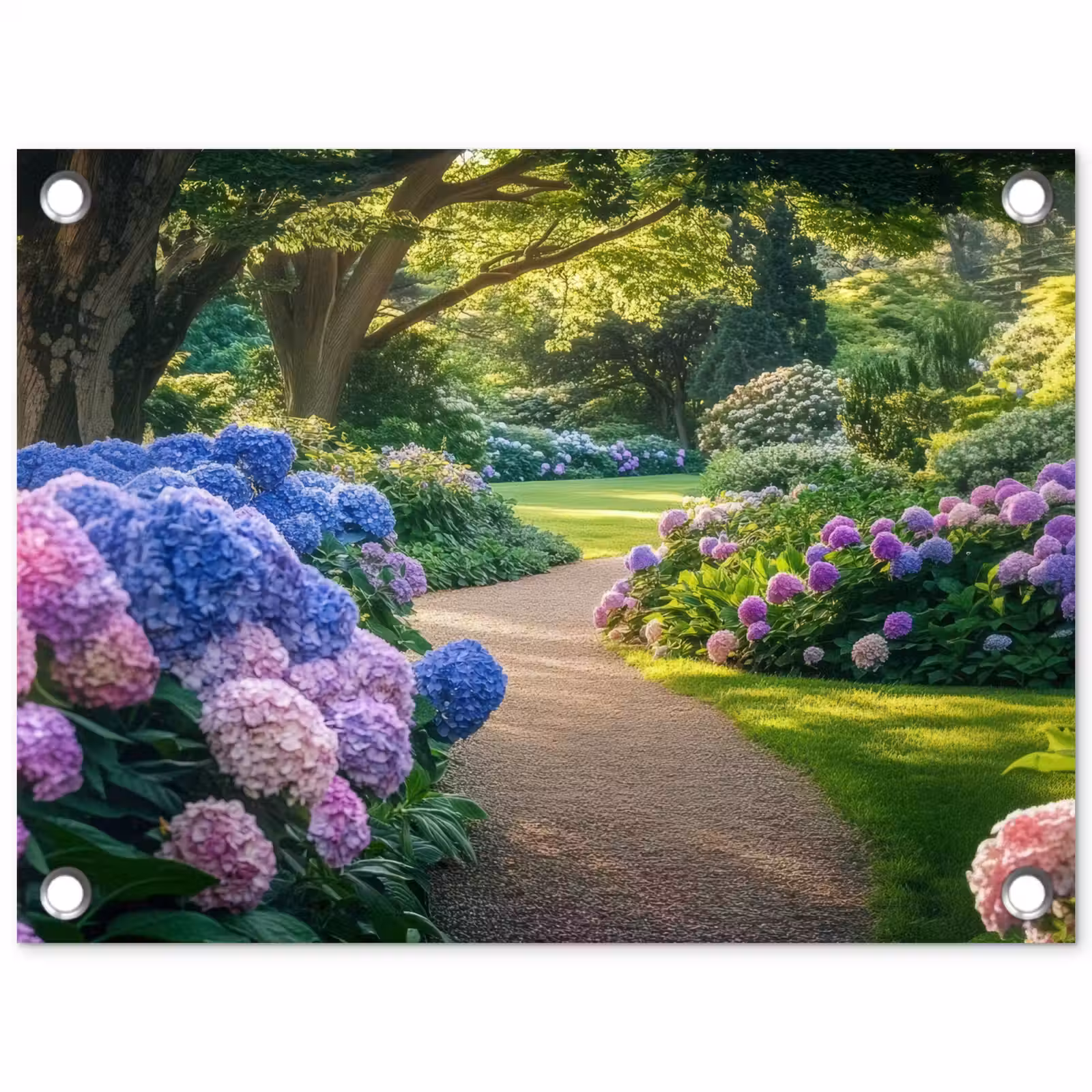 Tuinposter - Hortensia- Park - Pad — 1