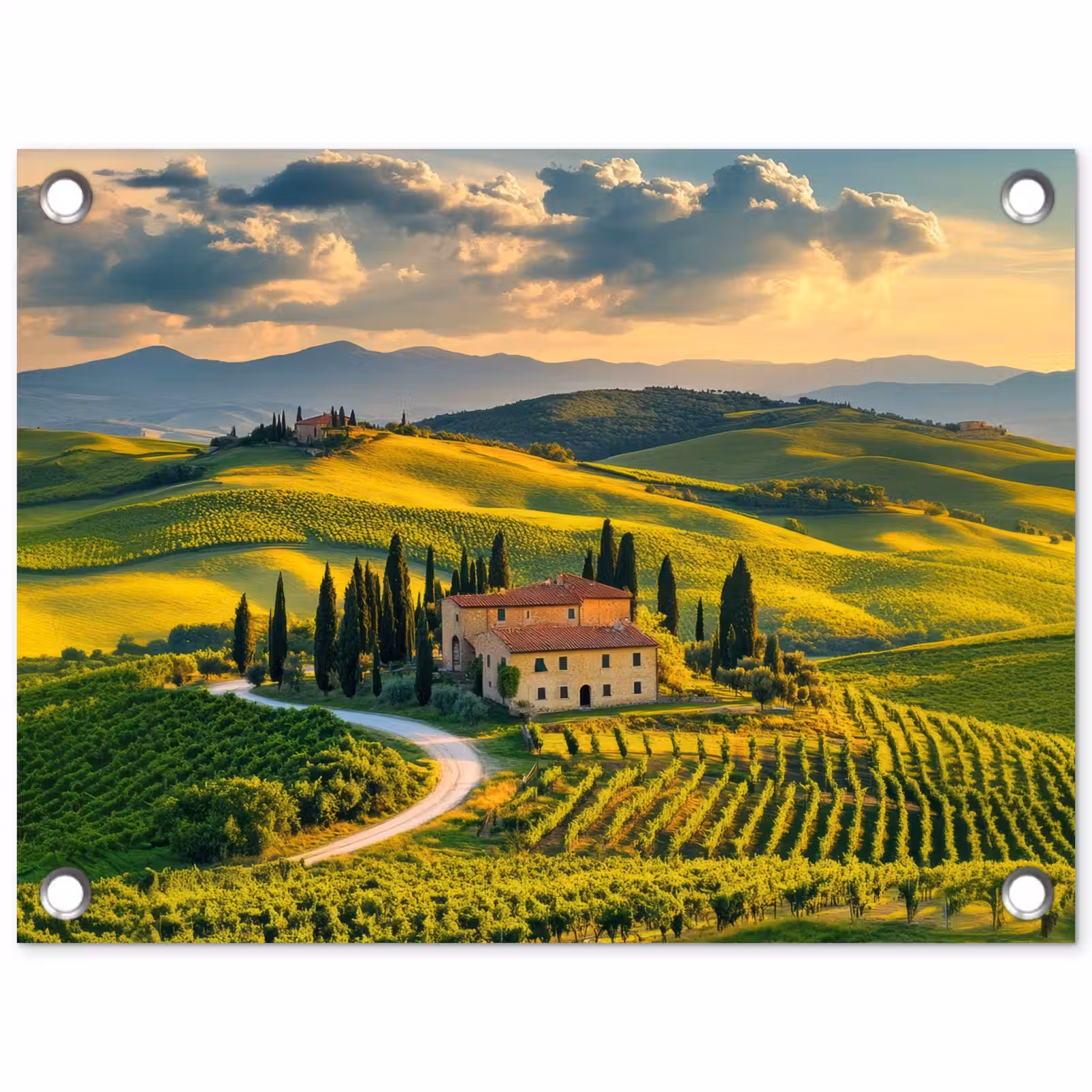Tuinposter - Toscane - Landschap - Wijngaarden — 1