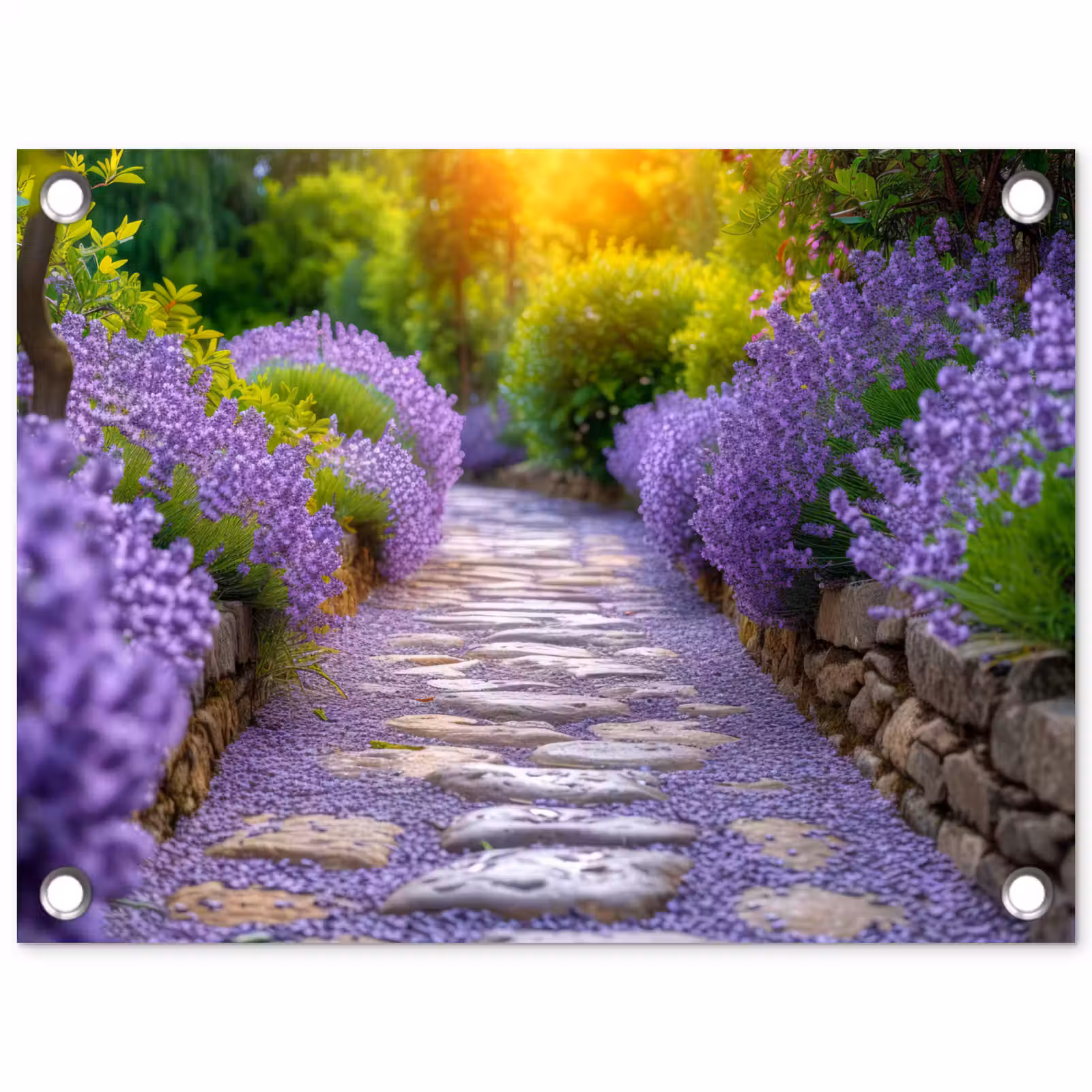Tuinposter - Lavendelpad bij zonsondergang — 1