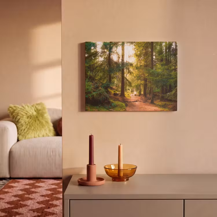 Akoestisch schilderij - Bos - Pad - Bomen - Groen - Zon - Natuur — 2