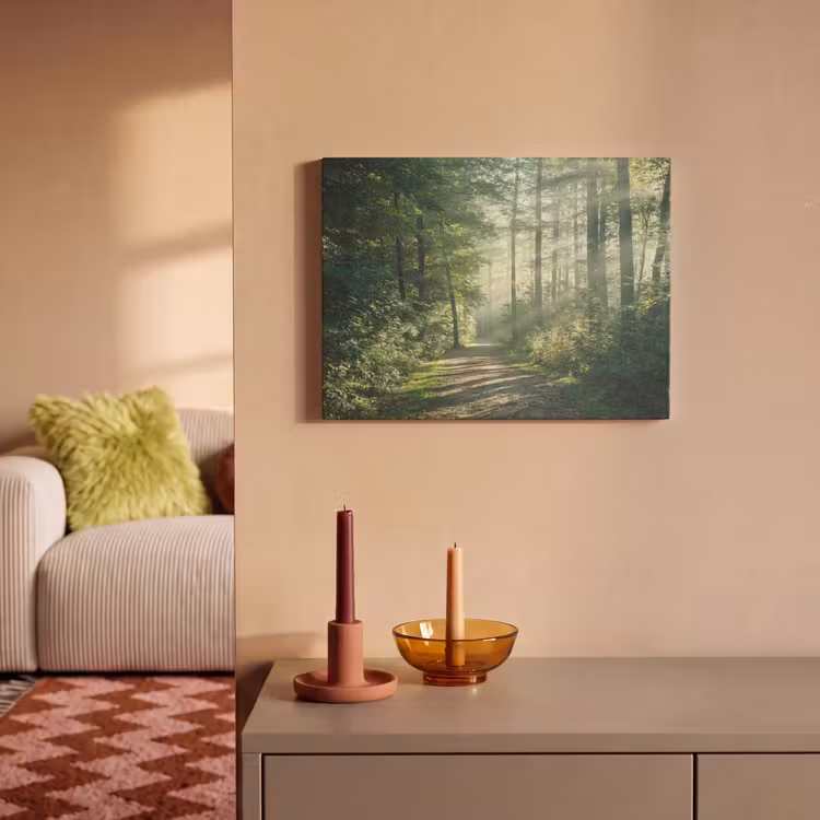 Akoestisch schilderij - Bos - Pad - Zon - Bomen - Groen - Natuur — 2