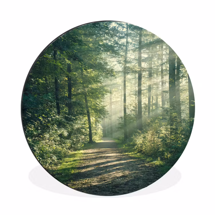 Wandcirkel - Aluminium - Bos - Pad - Zon - Bomen - Groen - Natuur — 1