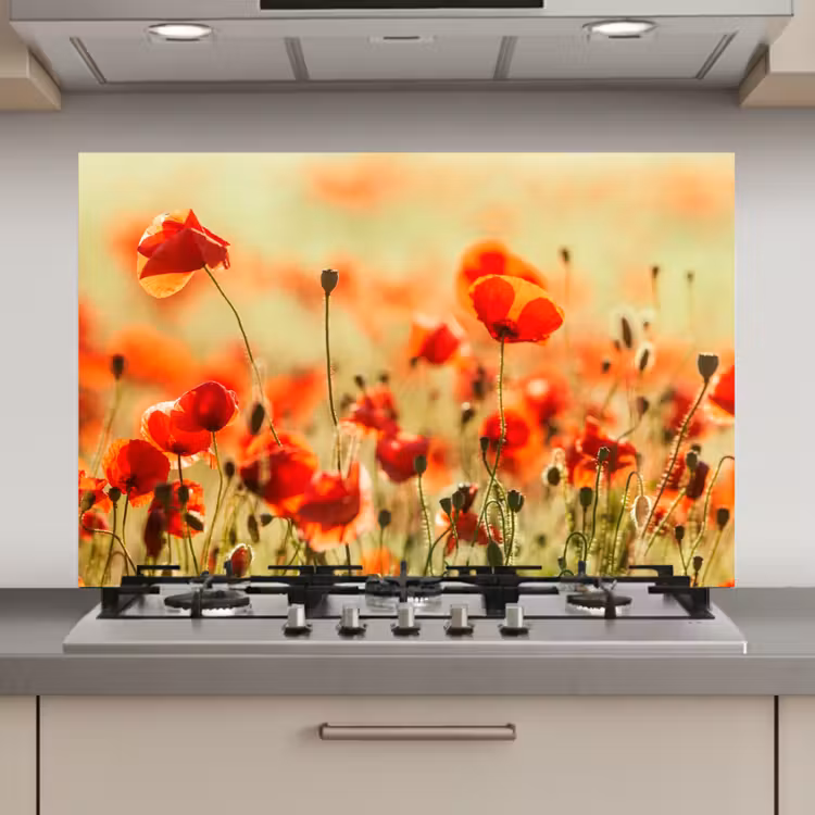Spatscherm keuken - Klaprozen - Bloemen - Rood - Bloemenveld — 1