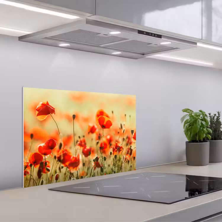 Spatscherm keuken - Klaprozen - Bloemen - Rood - Bloemenveld — 5