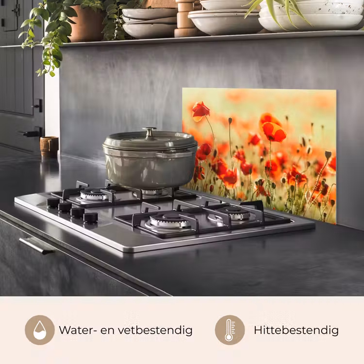 Spatscherm keuken - Klaprozen - Bloemen - Rood - Bloemenveld — 7