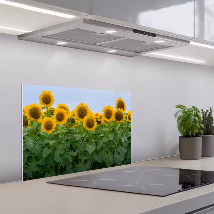 Spatscherm keuken - Zonnebloemen - Geel - Natuur — 5