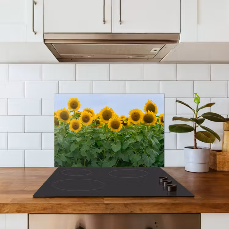 Spatscherm keuken - Zonnebloemen - Geel - Natuur — 6