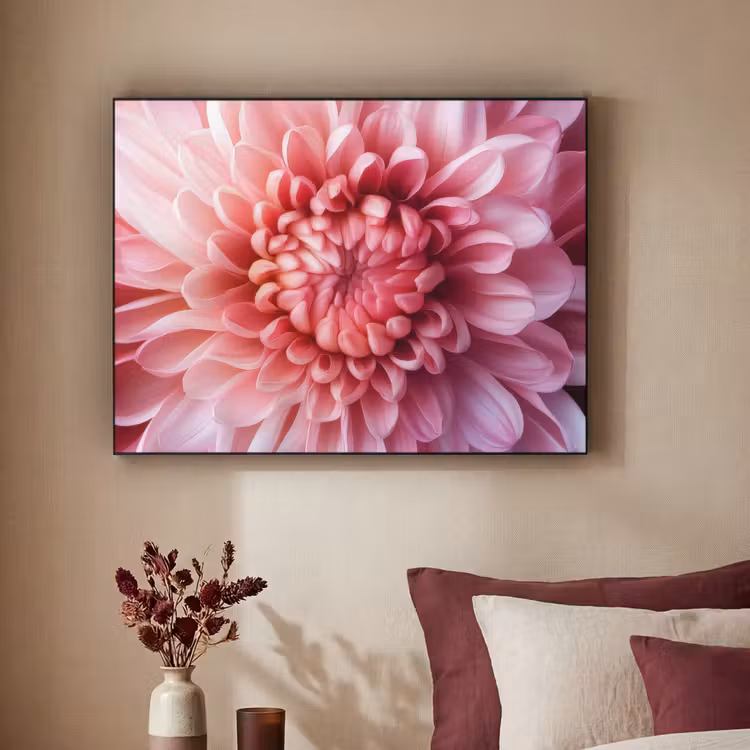 Art Frame - Dahlia - Bloem - Close up - Roze — 2
