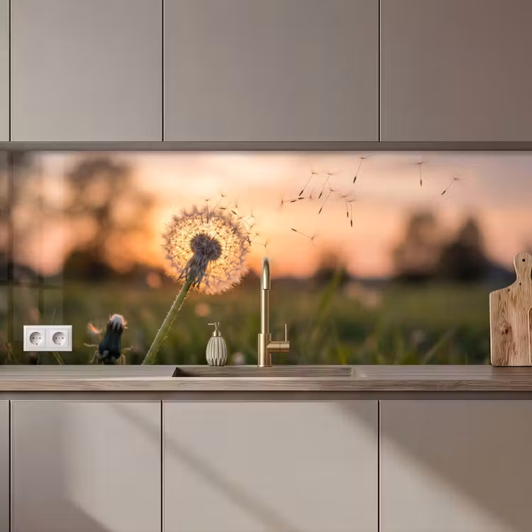 Keuken achterwand - Paardenbloem - Zonsondergang - Veld — 1