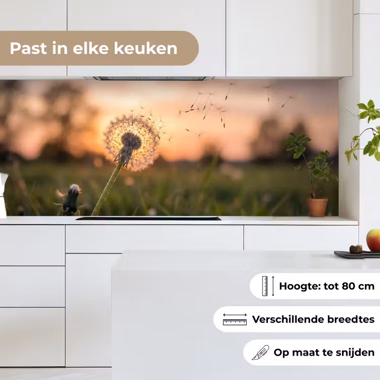 Keuken achterwand - Paardenbloem - Zonsondergang - Veld — 7