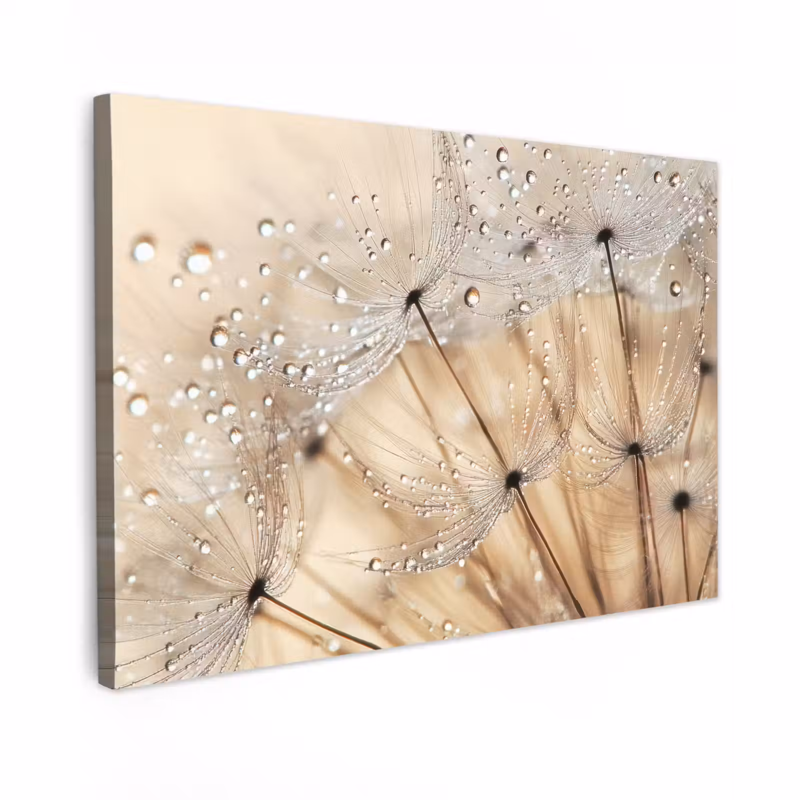 Canvas schilderij - Paardenbloem - Abstract - Natuur - Beige — 1