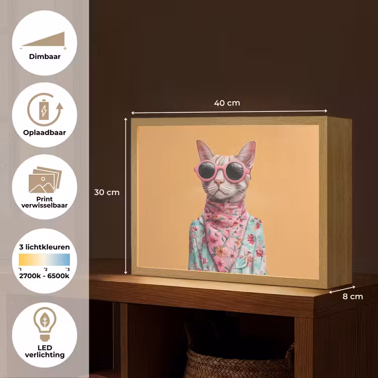 Lightbox - Wandlamp - Zonnebril - Kat - Sjaal - Bloemen — 10