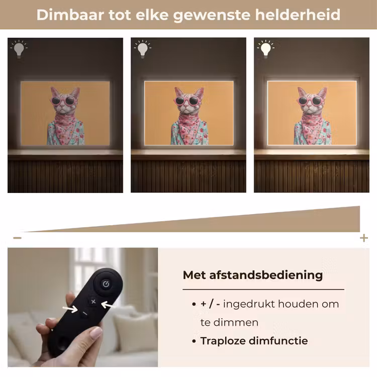 Lightbox - Wandlamp - Zonnebril - Kat - Sjaal - Bloemen — 9