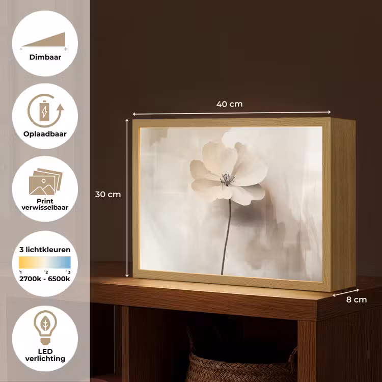 Lightbox - Wandlamp - Bloem - Beige - Verf - Schaduw — 10