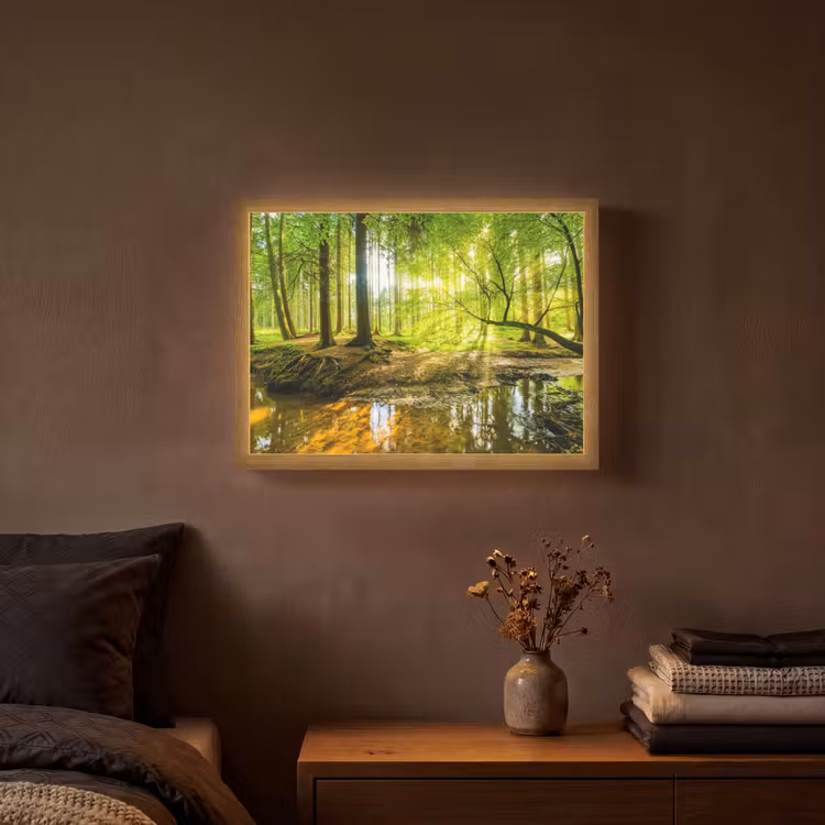 Lightbox - Wandlamp - Bos - Landschap - Water - Bomen - Zon - Groen - Natuur — 3