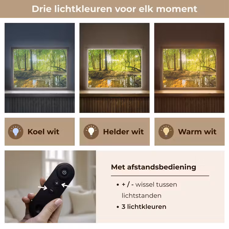 Lightbox - Wandlamp - Bos - Landschap - Water - Bomen - Zon - Groen - Natuur — 8