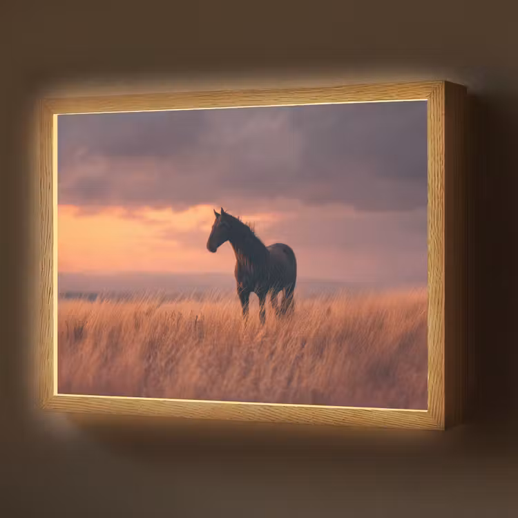 Lightbox - Wandlamp - Paard - Wolken - Open veld — 1