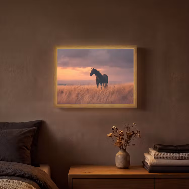 Lightbox - Wandlamp - Paard - Wolken - Open veld — 3