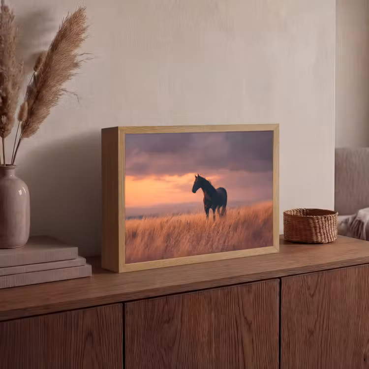 Lightbox - Wandlamp - Paard - Wolken - Open veld — 4