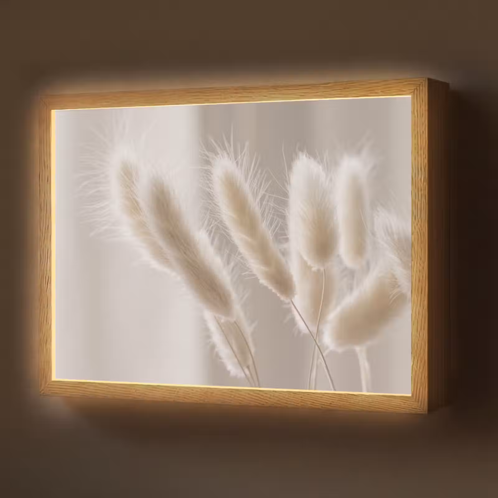 Lightbox - Wandlamp - Pampasgras - Pluim - Wit — 1