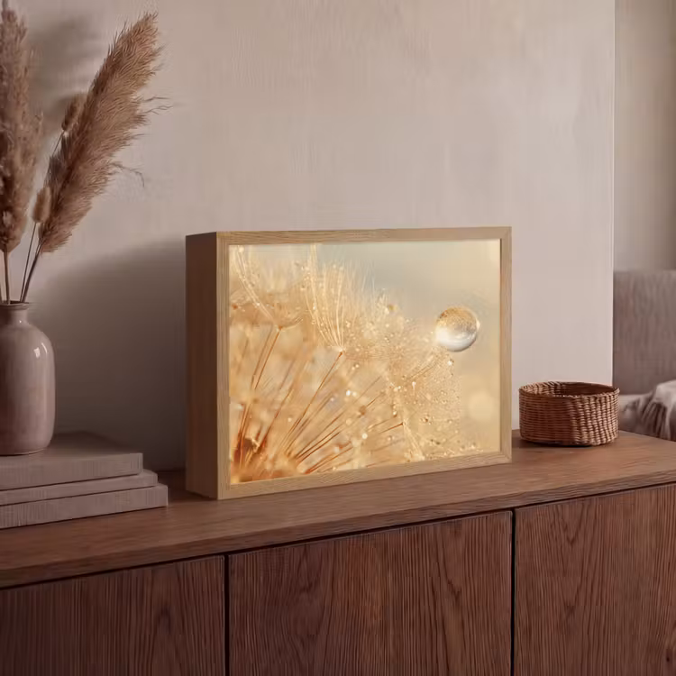 Lightbox - Wandlamp - Paardenbloem - Water - Natuur - Planten - Modern — 4